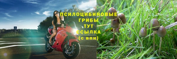 mdpv Заволжск