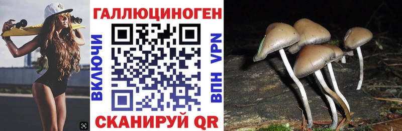 Псилоцибиновые грибы мухоморы  купить наркотики цена  Петров Вал 